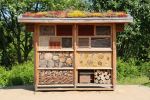 insect-house-598354_1920