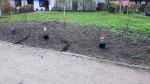 planzung_1