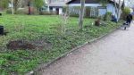 planzung_4