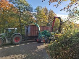 3. Gemeinschaftsarbeit 2025